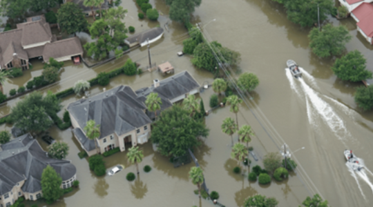 Flooded Houses